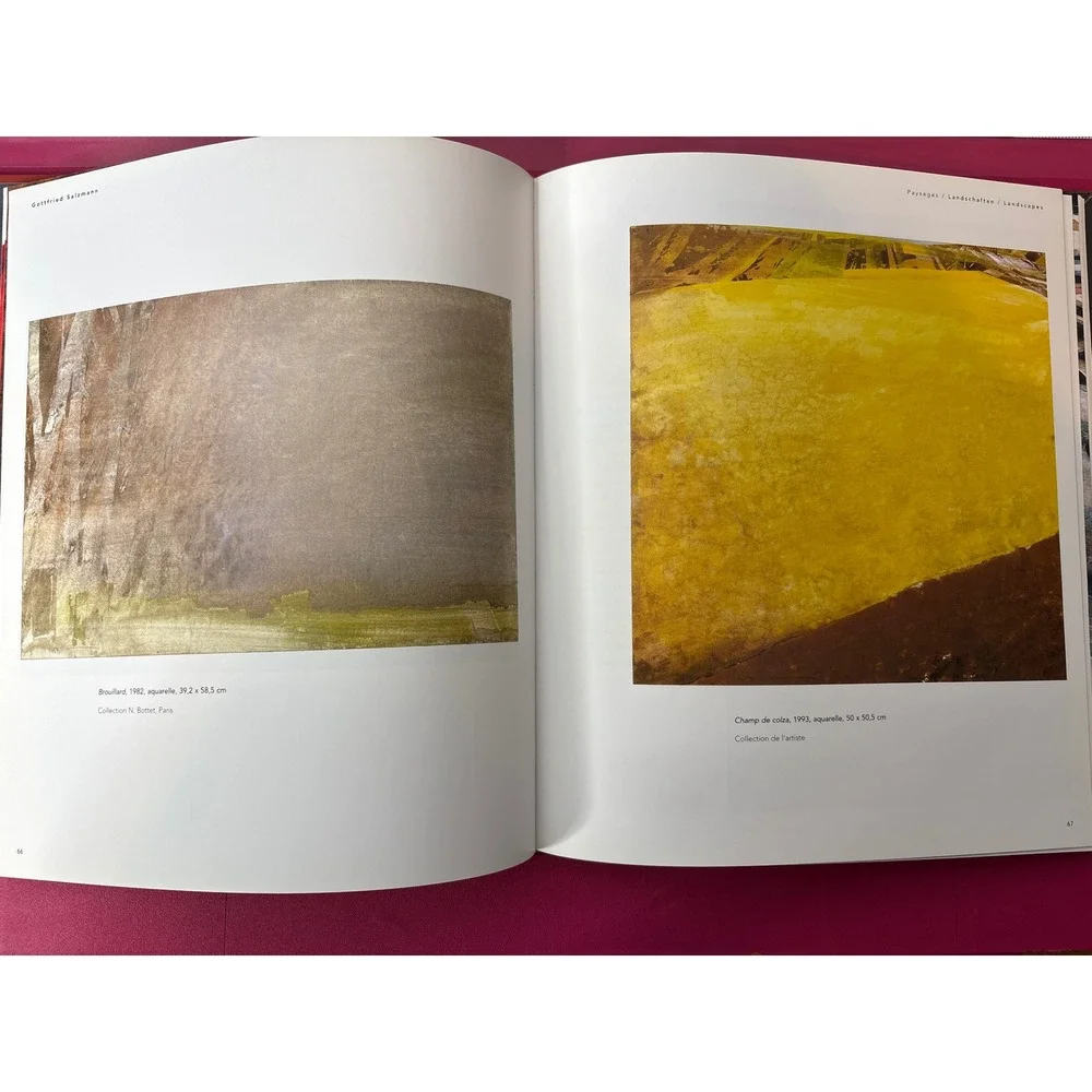 Gottfried Salzmann Art Book Pascal Bonafoux 2006 Hardcover Coffee Table‎ Book